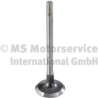 MS Motorservice International GmbH